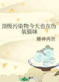 污染物伪装计划免费
